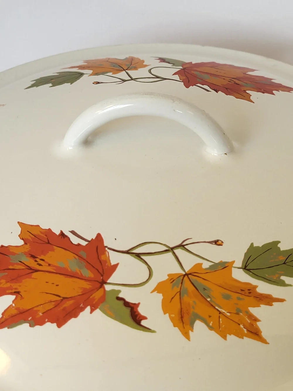 1960s Descoware Enamel Cast Iron Covered 4qt Dutch Oven Autumn Leaves